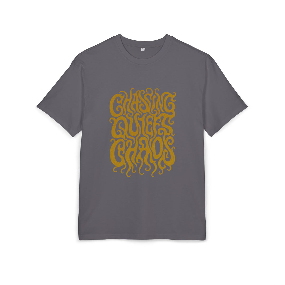 Chasing Quiet Chaos Oversize Tee